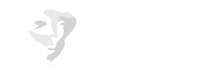 Brazilian Association of Plastic Surgeons