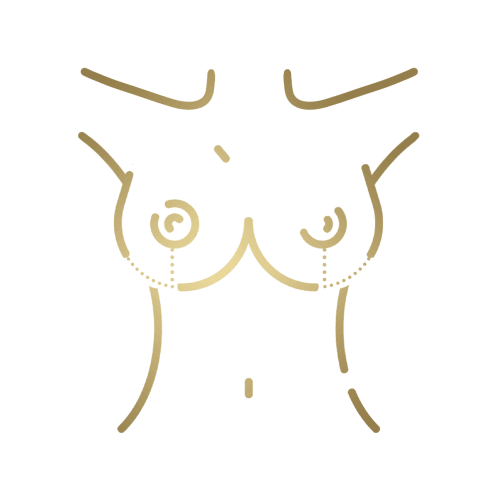 Ilustração em traço do contorno frontal do corpo, com os pontos de braços, mamas e abdome